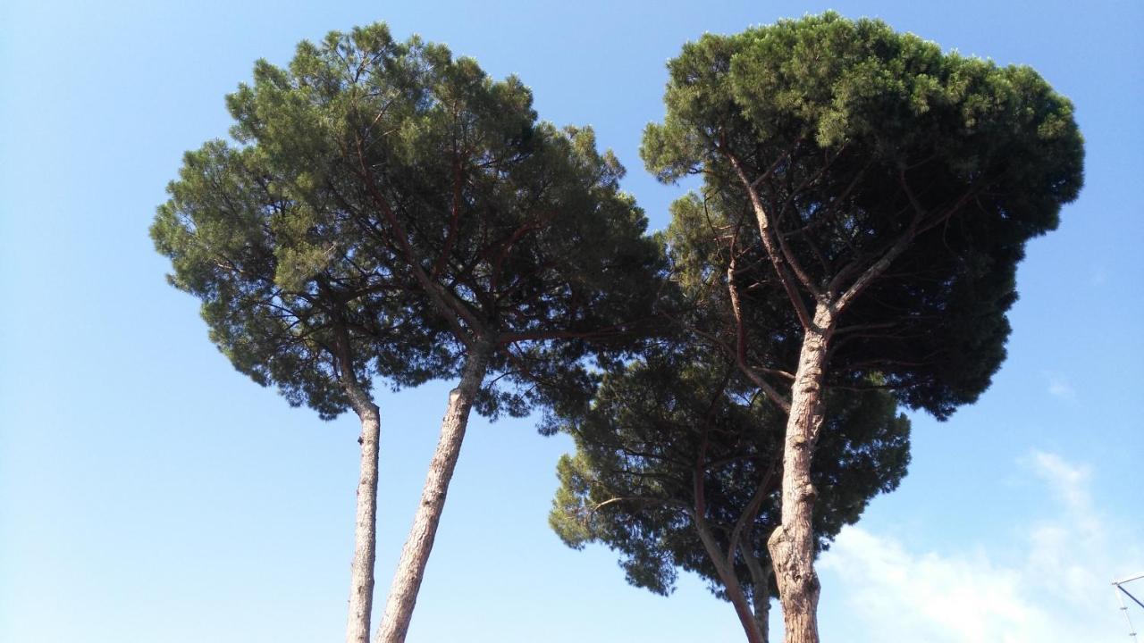 Appartement Piccolo Nido