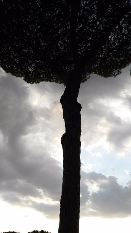 Appartement Piccolo Nido *